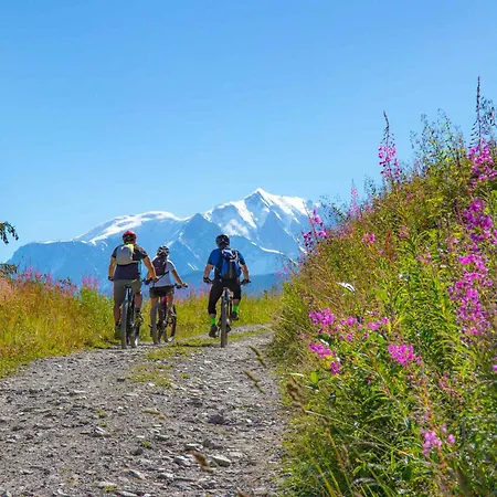 Cosy Skis Aux Pieds Avec Parking, Animaux Acceptes