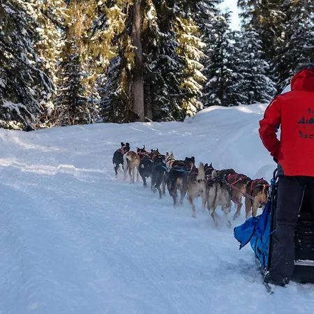 Cosy Skis Aux Pieds Avec Parking, Animaux Acceptes - Fr-1-505-230 Apartmán Notre-Dame-de-Bellecombe